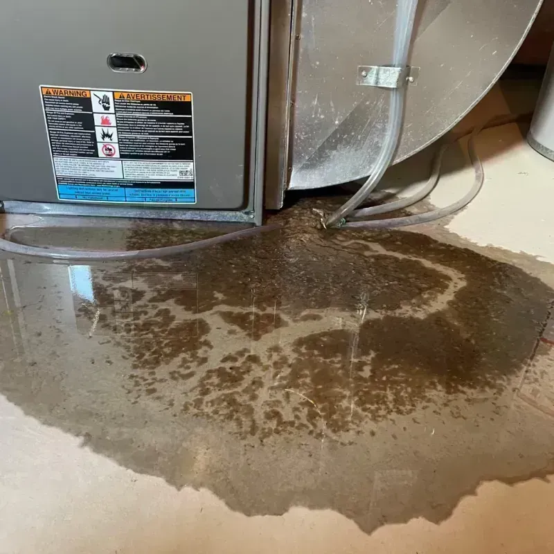 Appliance Leak Cleanup in Gregory, TX